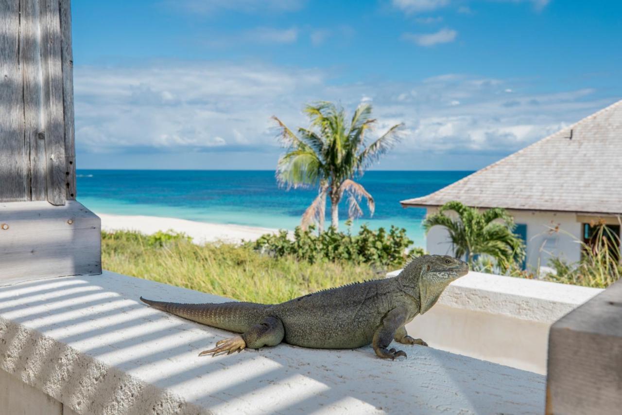 Ambergris Cay Private Island All Inclusive - Pls Island Hopper Flight Included Big Ambergris Cay Exterior foto